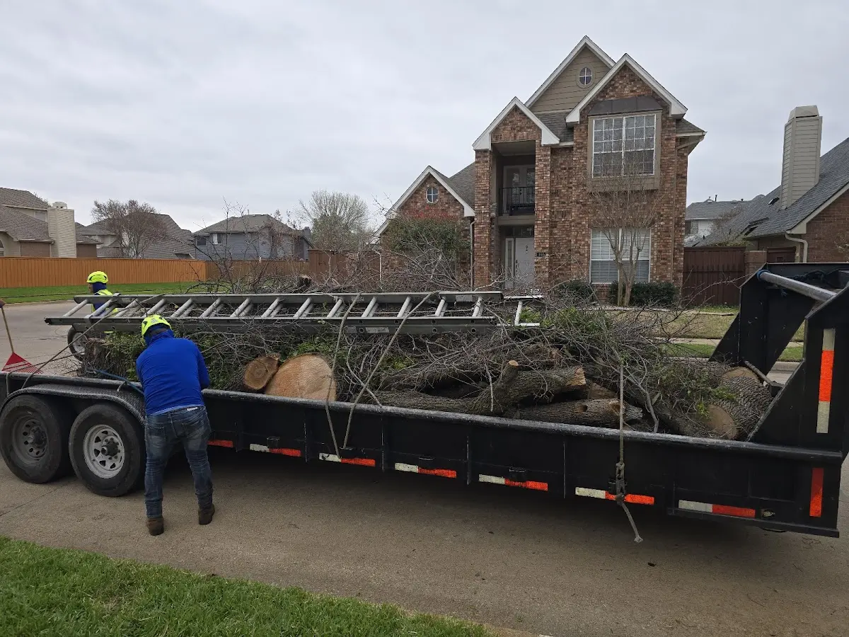 Expert Tree Pest Control with proper safety equipment in East Glacier Park